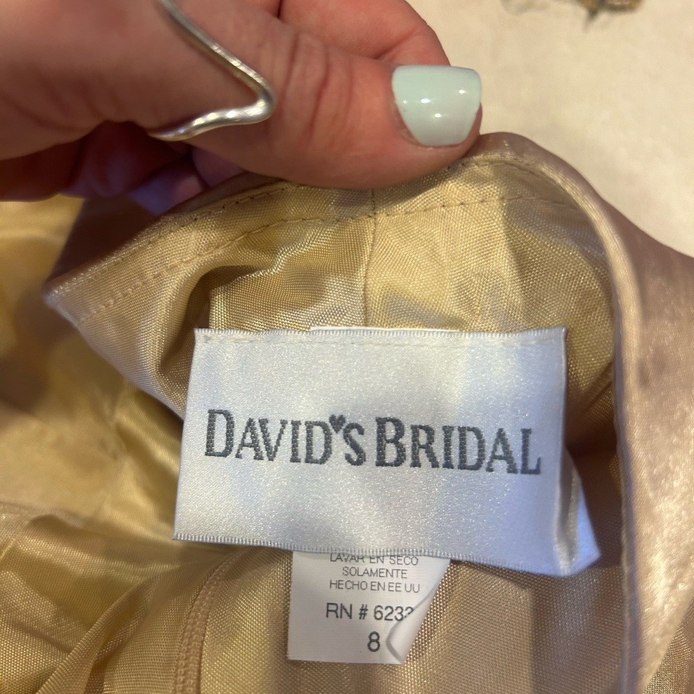 David's Bridal Champagne Gown